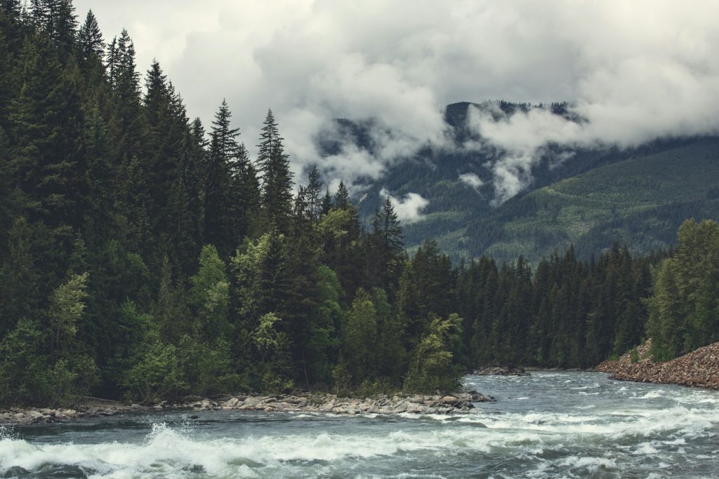 Derecho Ambiental: naturaleza con derechos
