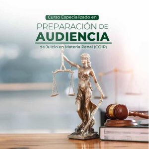 Preparación de Audiencia de Juicio en Materia Penal