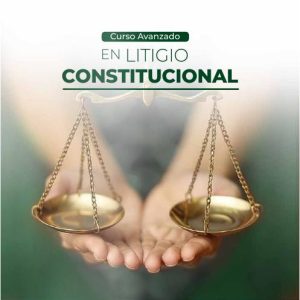 Litigio Constitucional