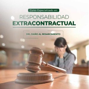 Responsabilidad Civil Extracontractual